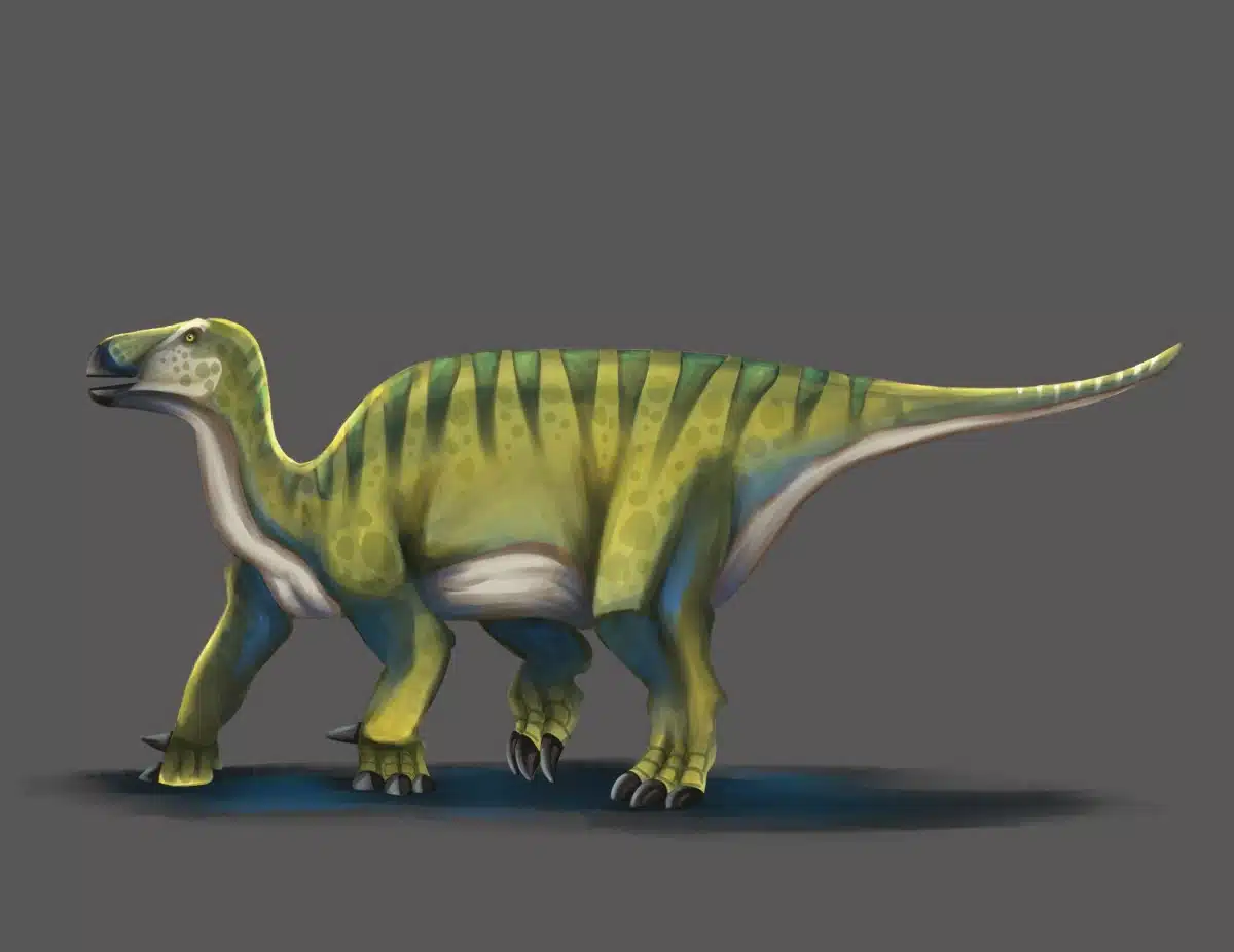 Lambeosaurus The Crested Dinosaur Of The Late Cretaceous