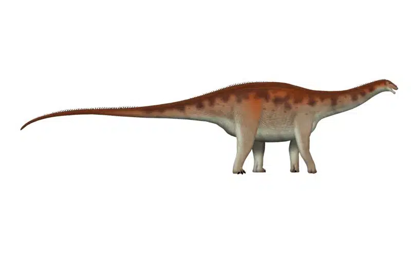 Lambeosaurus The Crested Dinosaur Of The Late Cretaceous