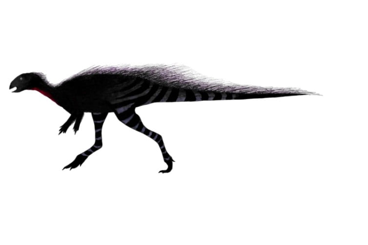 Nanosaurus