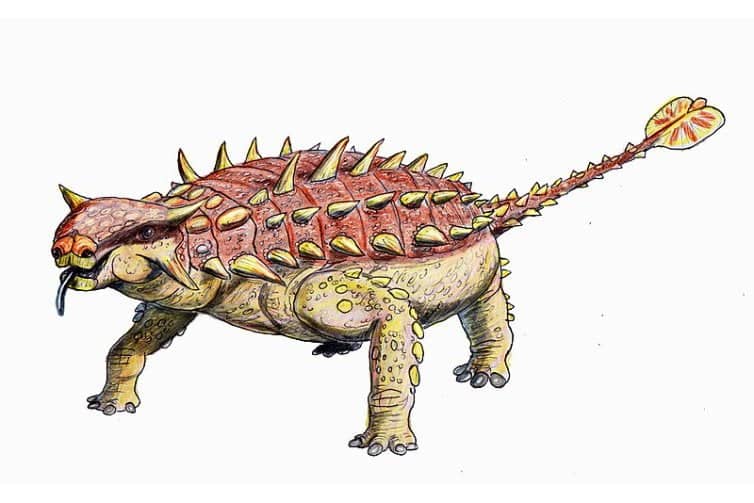 Pinacosaurus was an armored herbivore of the Late Cretaceous. Explore its unique features, habitat, and the fascinating story of its discovery.
