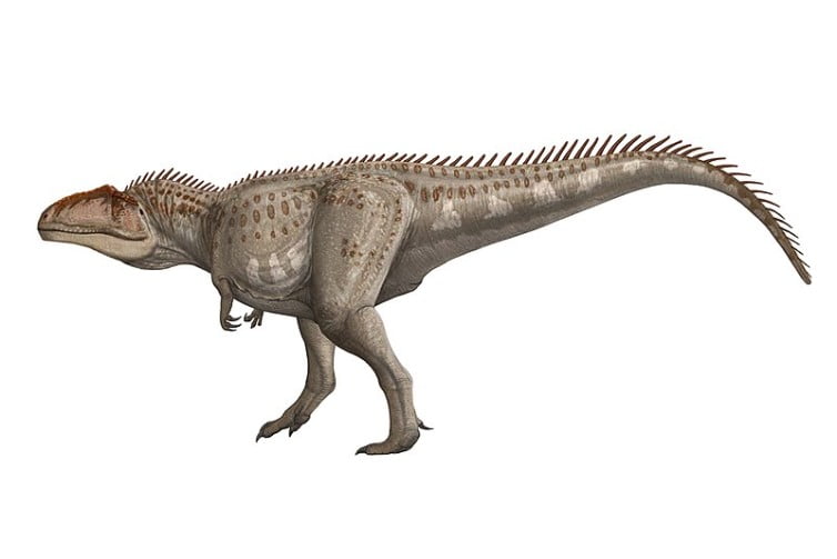 Discover the world of Giganotosaurus, the