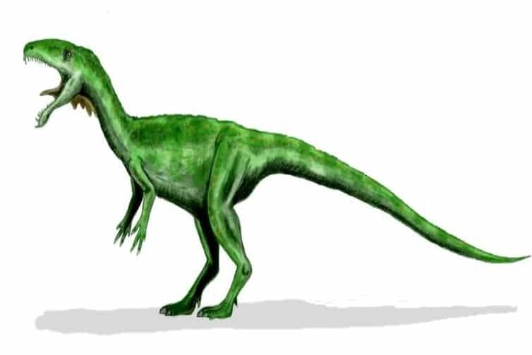 Masiakasaurus