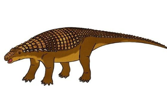 The Nodosaurus, or the "Knobbed Lizard", lived in what is today western Canada in the Late Cretaceous period.