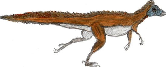 Hypothetical integumented reconstruction of Parksosaurus