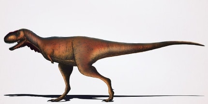 Rugops reconstruction