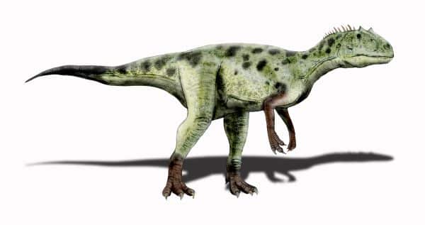 Piatnitskysaurus dinosaur