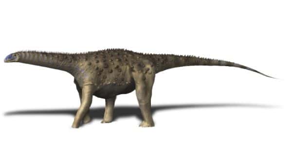 Saltasaurus loricatus, Late Cretaceous of Argentina. Digital.
