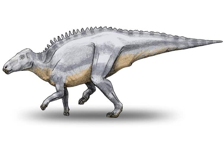 Telmatosaurus by Debivort