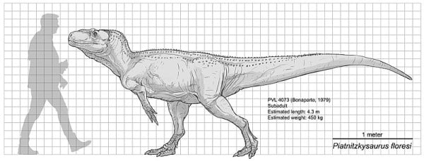 Piatnitzkysaurus floresi reconstruction based on PVL 4073.