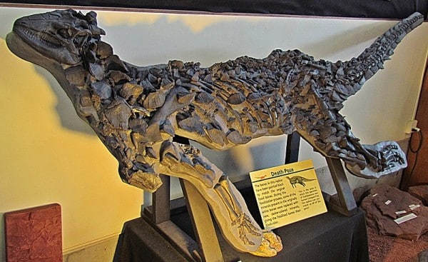 Scelidosaurus cast of the David Sole specimen BRSMG LEGL 0004, in Utah.