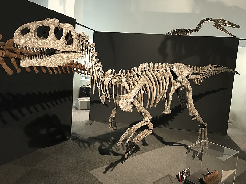 Piatnitzkysaurus mount japan