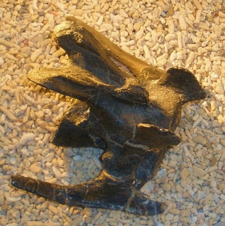 One of the seventeen neck vertebrae, seen from the right upper side