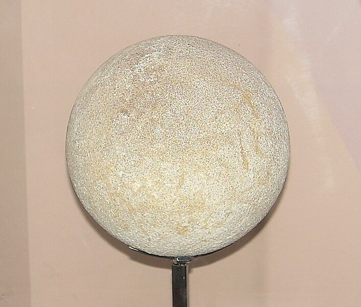Photograph of a fossil cast of a Saltasaurus loricatus egg taken at the North American Museum of Ancient Life.