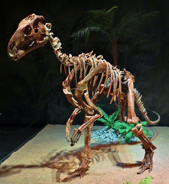 Probactrosaurus gobiensis skeleton