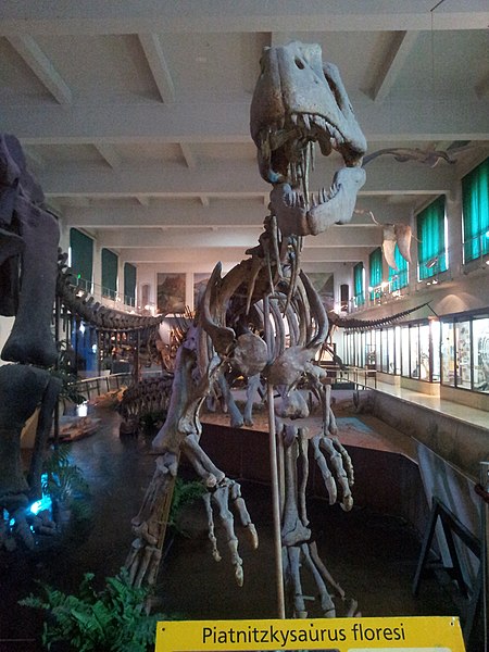 Piatnitzkysaurus skeleton - Natural science museum