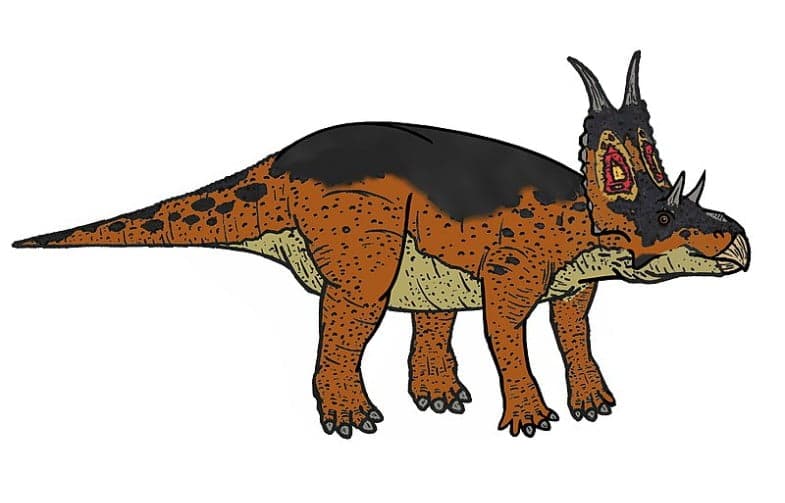 Diabloceratops by Conty