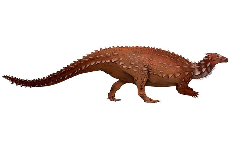 Scelidosaurus was an Early Jurassic herbivore. Explore its discovery in Great Britain, its unique features, and the environment it inhabited.