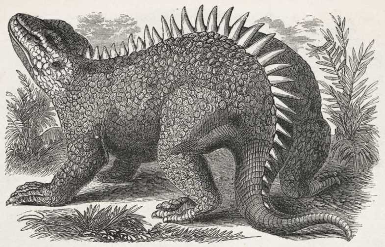 Hylaeosaurus by Benjamin Waterhouse Hawkins