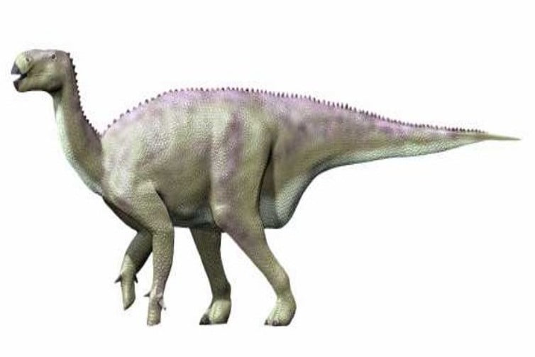 Iguanodon by Nobu Tamura