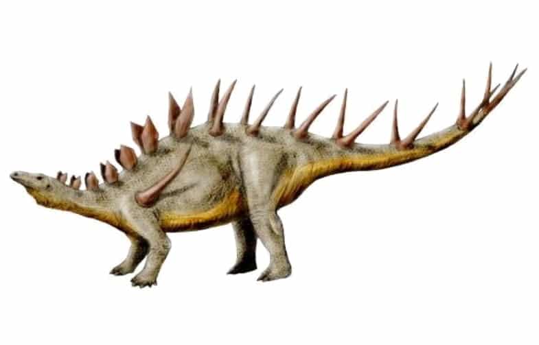 Kentrosaurus by NobuTamura