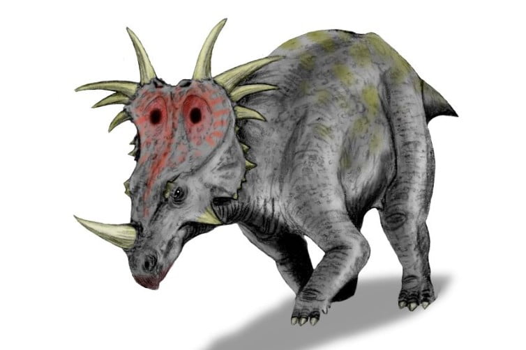 Styracosaurus by Nobu Tamura