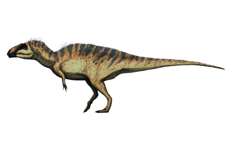 Acrocanthosaurus by Mariolanzas