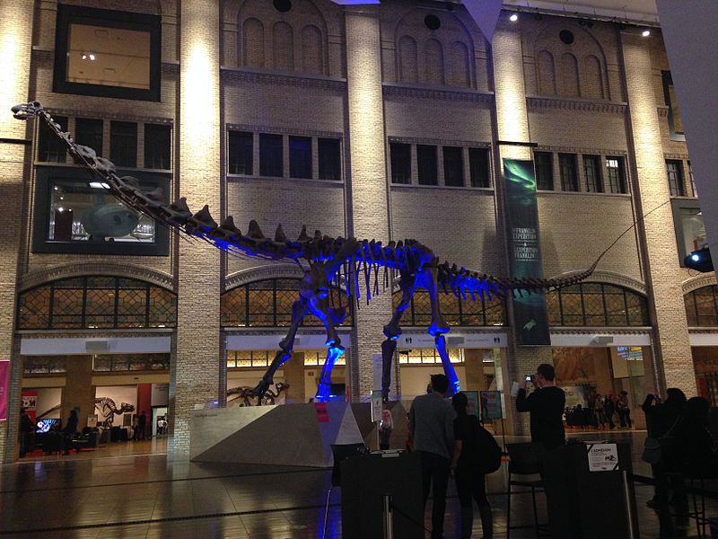 Futalognkosaurus Royal Ontario Museum