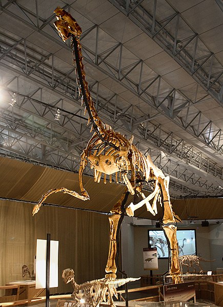 Mounted reconstructed skeleton of Gigantoraptor in Japan