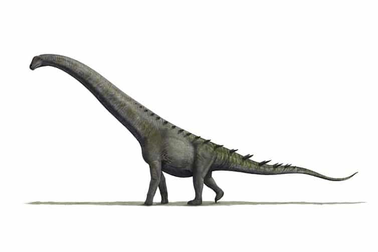 Futalognkosaurus by Nobu Tamura
