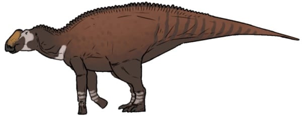 Life reconstruction of Kritosaurus navajovius