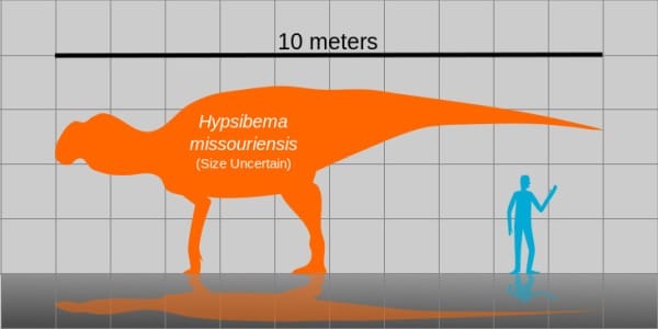 Potential size of Hypsibema (=Parrosaurus) missouriensis. Despite being known from poor remains, it is the state fossil of Missouri.