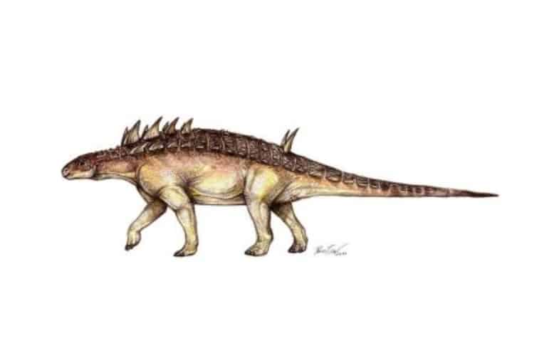 Hungarosaurus by magyardinoszaurusz