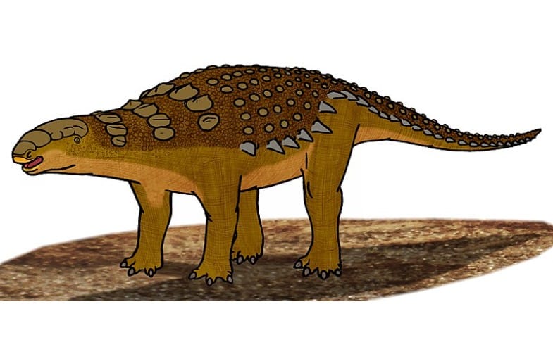 Panoplosaurus by Conty