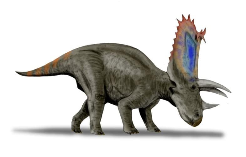 Pentaceratops by Nobu Tamura