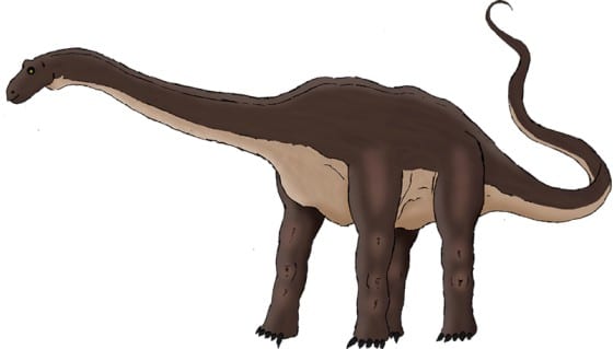 Amazonsaurus