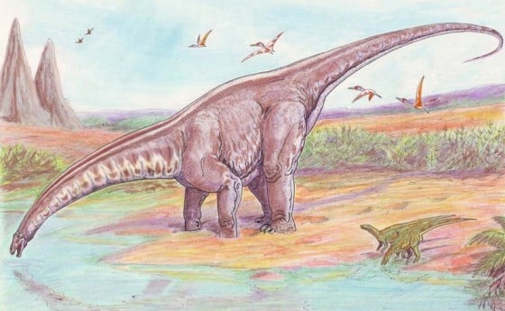 Apatosaurus dinosaur