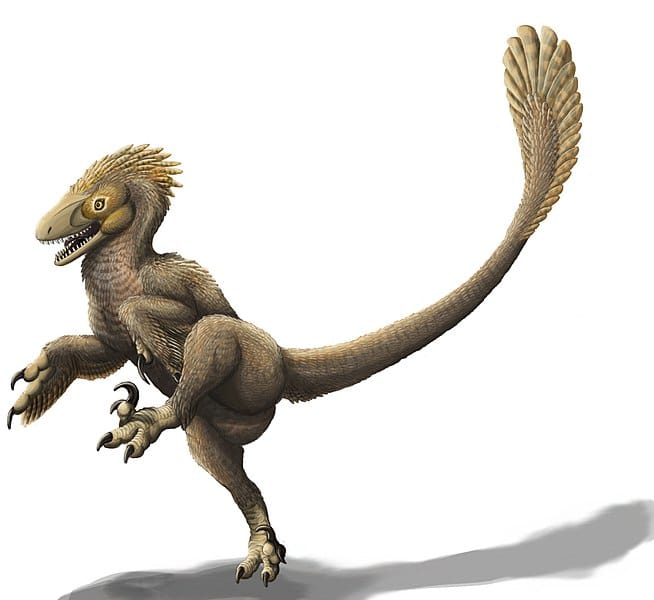 Balaur dinosaur