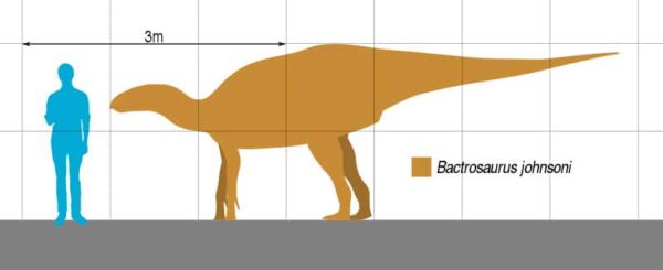 Bactrosaurus The Club Lizard of the Late Cretaceous Era