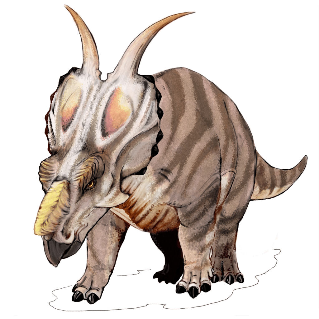 Achelousaurus | Unraveling the Mysteries of a Unique Dinosaur