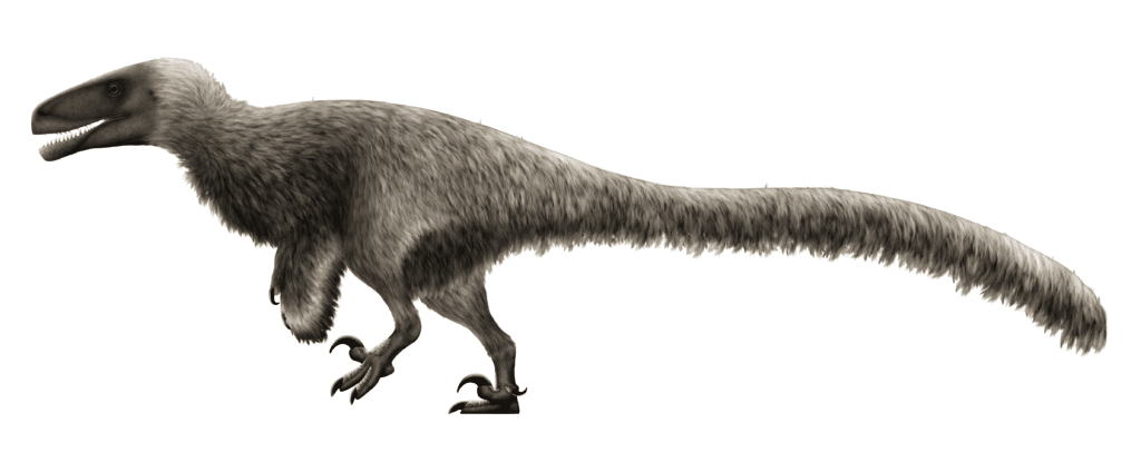 Achillobator | Mongolian Theropod from the Late Cretaceous