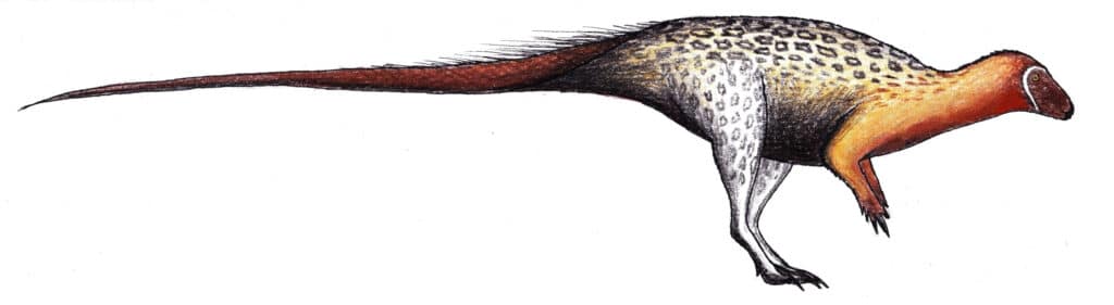 Agilisaurus: Unveiling the Agile Dino of the Jurassic Era