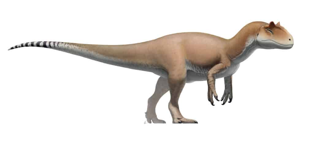 Allosaurus: The Fierce Predator of the Late Jurassic Era