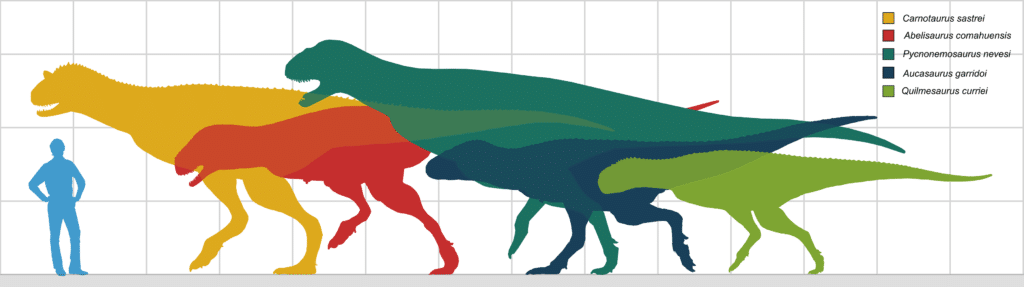 Abelisaurus Size comparison