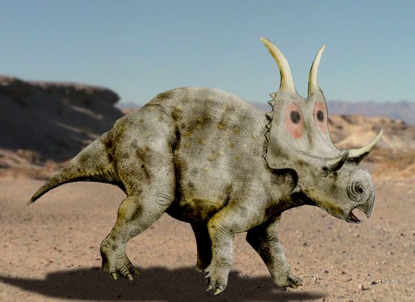 Diabloceratops: Devil-Horned Face of the Late Cretaceous