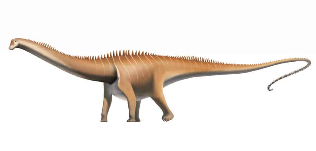 Diplodocus: The Long-Necked Giant of the Jurassic Era
