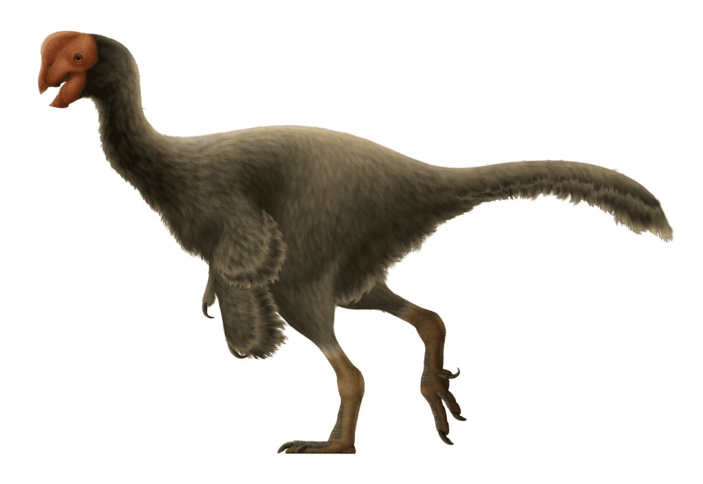 Oviraptor: The Misunderstood 'Egg Thief' Dinosaur