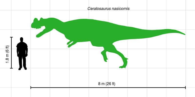 Ceratosaurus size