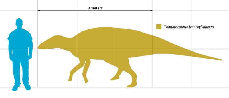 Telmatosaurus size