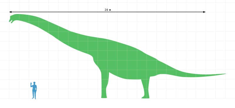 Brachiosaurus size