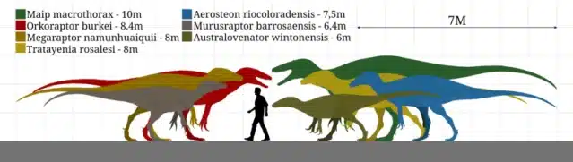 Aerosteon The Air Boned Predator Of The Late Cretaceous Aerosteon The Air Boned Predator Of The Late Cretaceous